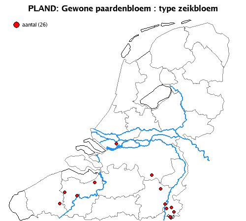 zeikbloem